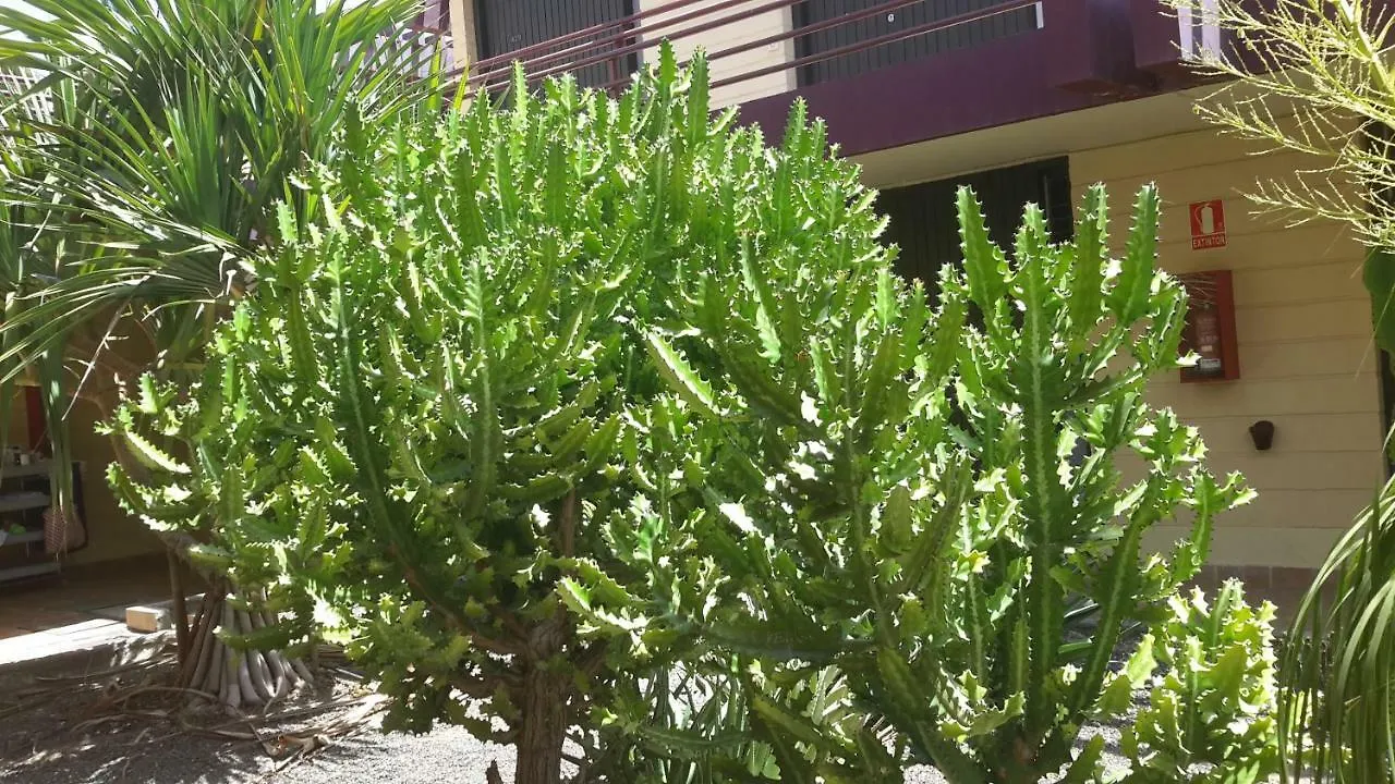 Beautiful Apartment Hercules Costa Del Silencio