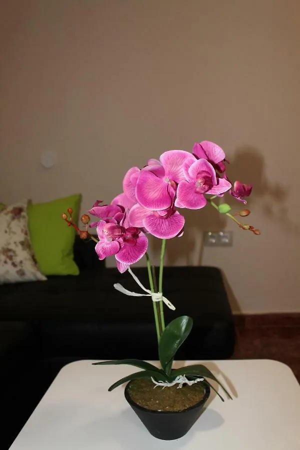 Beautiful Apartment Hercules Costa Del Silencio